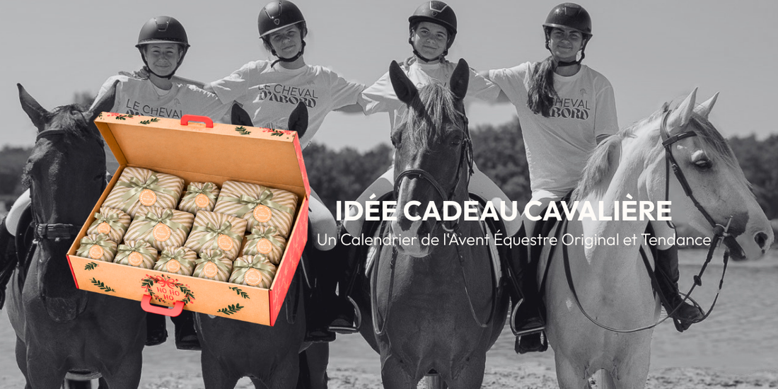 Idée Cadeau Cavalière : Un Calendrier de l'Avent Équestre Original et Tendance