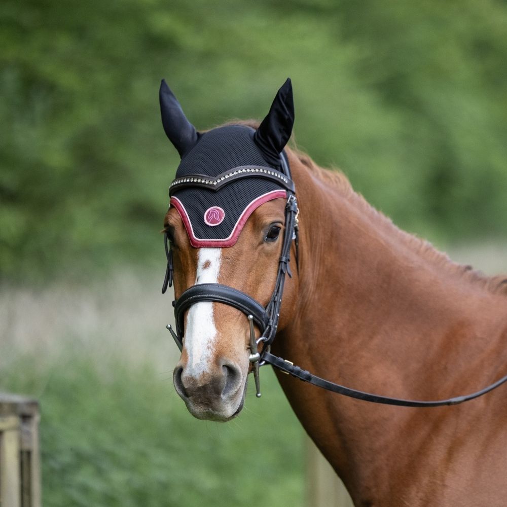 Le Bonnet Cheval - Hyppalektryon