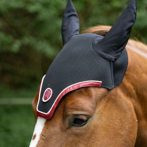 Le Bonnet Cheval - Hyppalektryon