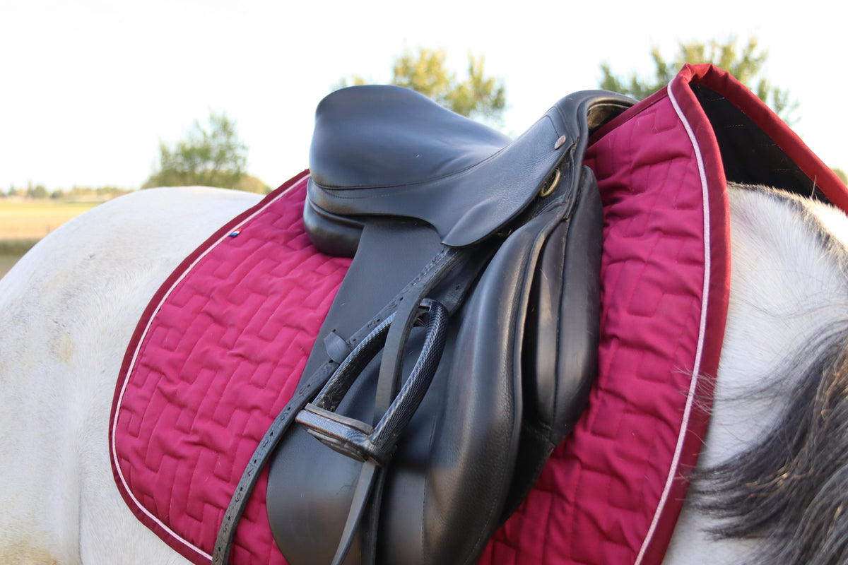 Le Tapis de Selle - Hyppalektryon