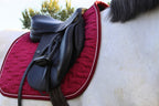 Le Tapis de Selle - Hyppalektryon