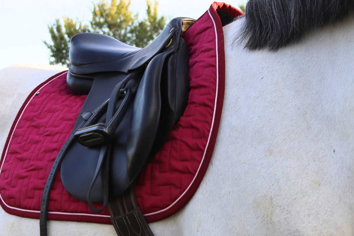 Le Tapis de Selle - Hyppalektryon