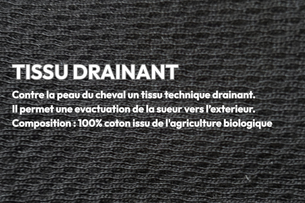 Le Tapis de Selle - Hyppalektryon