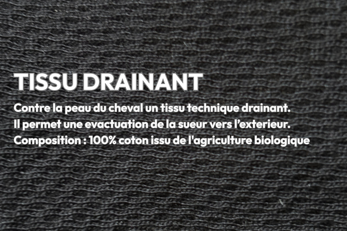 Le Tapis de Selle - Hyppalektryon