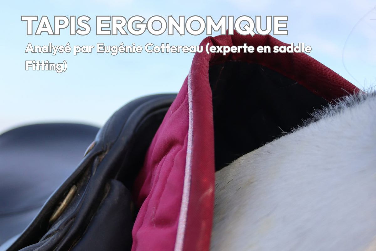 Le Tapis de Selle - Hyppalektryon